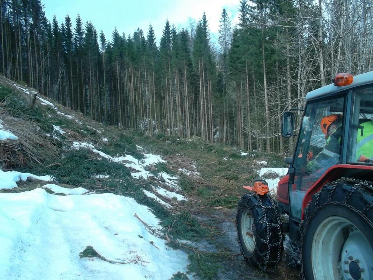 Mo Gardsferie-Pers Frukthage Villa Oystese Luaran gambar